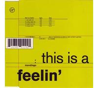 This is a feelin' (incl. 4 versions, 1993)