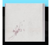This is a Process of a Still Life - Light