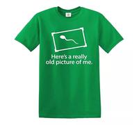 This is an Old Picture of Me Funny Men's T-Shirt Rude Sexual Humor Adult Party(Irish Green,L)