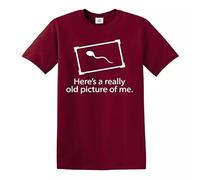 This is an Old Picture of Me Funny Men's T-Shirt Rude Sexual Humor Adult Party(Maroon,XL)