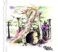 This Is Cave Music