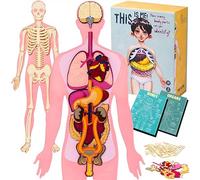 THIS IS ME human body for kids human body model for kids anatomy set human anatomy model anatomy skeleton model anatomy model skeleton full size life size skeleton montessori human organ match human