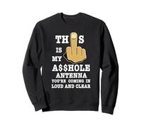 This Is My A$$hole Antenna You're Coming In Loud And Clear. Sweatshirt