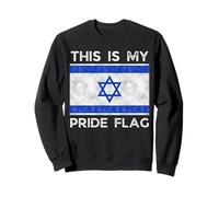 This is My Pride Flag Israeli Flag Sweatshirt