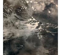 This Is Not the Answer Vol 1