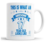 This is What an Awesome 17 Year Old Looks Like Mug 17th Birthday Present Gift for Brother Sister Son Daughter Friend Christmas Cup, Ceramic Mugs (Blue)