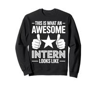 This Is What An Awesome Intern Looks Like Funny Intern Sweatshirt