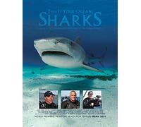 This is Your Ocean: Sharks