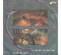 This Island Earth - Take me to the fire (1985) [VINYL]