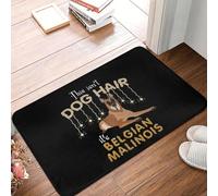 This Isn't Dog Hair It's Belgian Malinois Glitter Shepherd Dog Non-slip Doormat Floor Mat Carpet Rug for Kitchen Footpad Mats