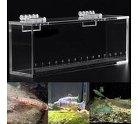 This, Lightweight Acrylic Viewer is Perfect For Any Angler Looking to Observe Their Catch Up Close (small)