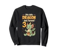 This Little Dragon Just Turned 3 - 3rd Birthday Boys Sweatshirt