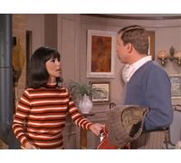 This Little Piggy Had a Ball