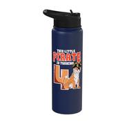 This Little Pirate is Turning 4 Wild Tiger 4th Birthday Stainless Steel Insulated Water Bottle