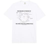 This Machine is Powered By The Citric Acid Cycle Krebs Cycle Comfort Colors Adult Heavyweight T-Shirt
