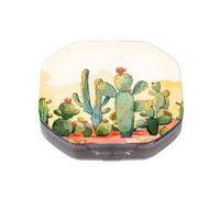 This Portable Cacti in The Desertpattern Compartmentalized Pillbox Can Be Placed in A Pocket Or Wallet to Store Vitamins, Medicines/Fish Oil/Health Supplements/Other Medications.