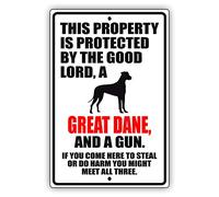 This Property is Protected by The Good Lord A Great Dane Dog Unique Novelty Caution Outdoor Warning Notice Aluminum Metal Sign 8x12 inches