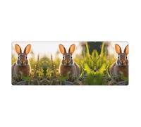 This Rabbit in The Grass Keyboard and Mouse pad, 12x31.5 inches in Size, is Designed for Computers, Consoles, Offices, and is Also Suitable for Games and Study.