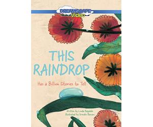 This Raindrop: Has a Billion Stories to Tell