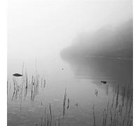 This River Only Brings Poison [VINYL]