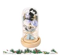 This Rose in a Dome of Her Under the Glass Expresses Your Love and Flows Romance - Beauty and The Beast Light -Up - Preserved Flowers Handmade with Glass Dome Artificial Flowers Gift