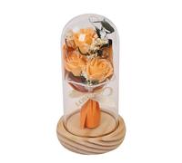 This Rose in a Dome of Her Under the Glass Expresses Your Love and Flows Romance - Beauty and The Beast Light -Up - Preserved Flowers Handmade with Glass Dome Artificial Flowers Gift