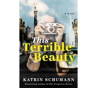 This Terrible Beauty: A Novel