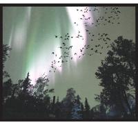 THIS TOWN NEEDS GUNS