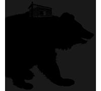 This Will Destroy You - Young Mountain [VINYL]