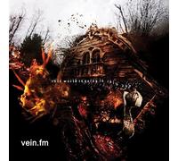 This World Is Going To Ruin [VINYL]