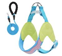 This Y-shaped anti-pull dog harness and leash set is designed for Lhasa Apso and features an adjustable, soft-padded chest vest with reflective strips. green M+2M