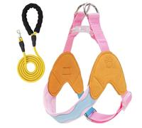 This Y-shaped anti-pull dog harness and leash set is designed for Lhasa Apso and features an adjustable, soft-padded chest vest with reflective strips. orange color XS+1.5M