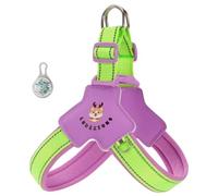 This Y-shaped anti-pull dog harness is designed specifically for Dachshund, featuring an LED light and reflective strips, and a comfortable, breathable, padded vest. fuchsia S