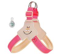 This Y-shaped anti-pull dog harness is designed specifically for Italian Greyhound, featuring an LED light and reflective strips, and a comfortable, breathable, padded vest. pink XS