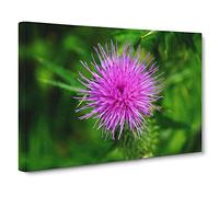 Thistle Flower No.1 Modern Canvas Wall Art Print Ready to Hang, Framed Picture for Living Room Bedroom Home Office Décor, 30x20 Inch (76x50 cm)