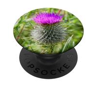 Thistle From Scotland PopSockets Adhesive PopGrip