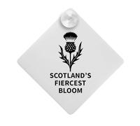 'Thistle Scotland's Fiercest Bloom' Suction Cup Car Window Sign (CG00031826)