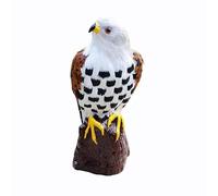 ThisToffGuys 15.4" Realistic Hawk/Falcon Figurine, Faux Feather Bird Statue on Base, Home Decor(Falco tinnunculus)