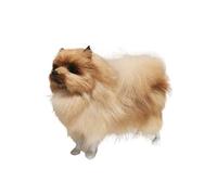 ThisToffGuys 22cm Realistic Pomeranian Dog Figurine, Faux Fur/Leather & Hollow Polyethylene Core, Home Decor, Gift(C)