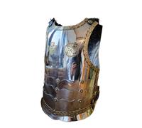 ThisToffGuys Polish Winged Hussar Armour Set - Handcrafted Knight Cuirass & Pauldrons - Wearable Historical Reenactment(A)