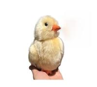 ThisToffGuys Simulation Super Cute Little Yellow Chicken Plush Toy Animal Doll Soft And 's Gift Home Decoration