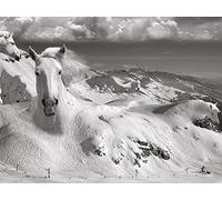 Thomas Barbey ICY Studs 60x80cm Canvas Print, Multi-Colour