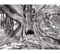 Thomas Barbey Tourist Trap 60x80cm Canvas Print, Multi-Colour, 31.5 x 24 inches