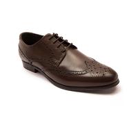 Thomas Crick Banks 'Brogue' Derby Formal Men's Shoes, Comfortable, Durable, Stylish, Classic Premium Leather Shoes with Classy Embroidered Upper Brown