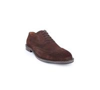 Thomas Crick Men’s Waldew Suede & Genuine Leather Brogue Shoes | Classic Lace-Up Oxford | Smart Casual & Formal Dress Shoes for Men