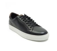 Thomas Crick Men's 'Evers' Casual 6 Eyelets Sneaker Trendy Shoes in Black | Size: 7 Thomas Crick Black 7