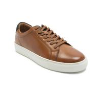 Thomas Crick Men's 'Evers' Casual 6 Eyelets Sneaker Trendy Shoes in Tan | Size: 8 Thomas Crick Tan 8
