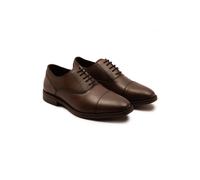Thomas Crick Men's Merlin Leather Oxford Toecap Shoes in Brown | Size: 10 Thomas Crick Brown 10