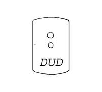 Thomas Dudley Dudley 73.5 Square Dual Flush Push Button DUDPIAZDF