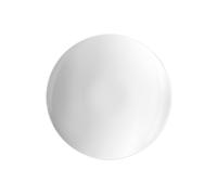 Thomas - Loft White - Gourmet Plate - 183955N